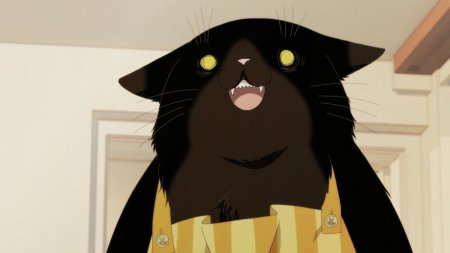 Кот домохозяин снова грустит аниме