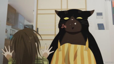Кот домохозяин аниме