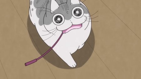 Вечера с котом аниме