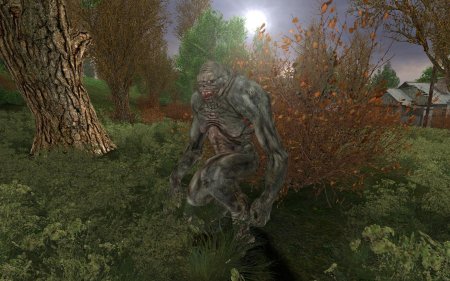 Монстры из сталкера Зов Припяти