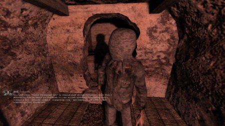 Контроллер в плаще сталкер