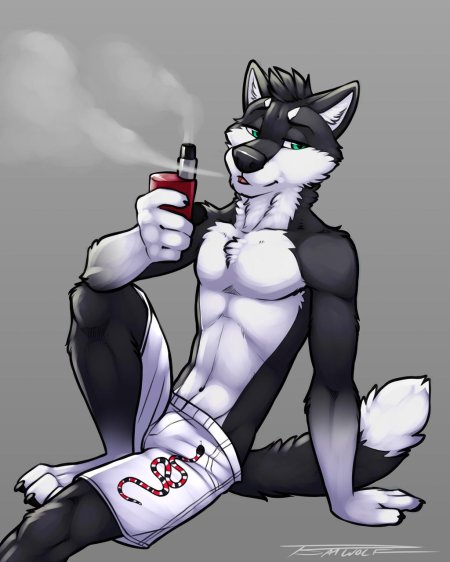 Картинки фурри