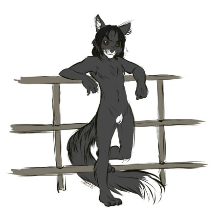 Фурри кантбой