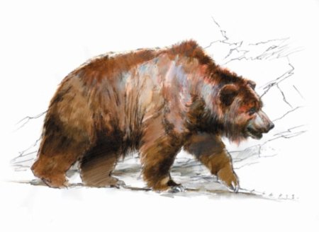 Ursus spelaeus