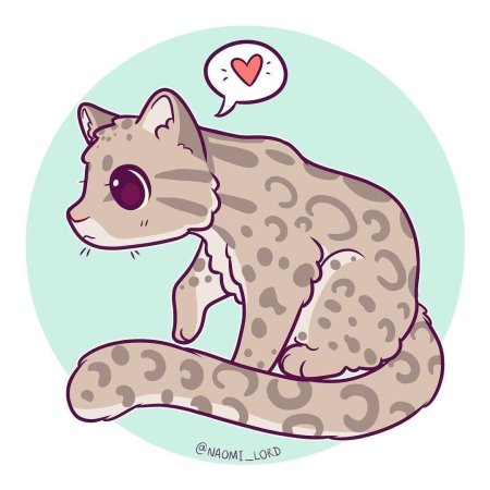 Наоми Лорд леопард