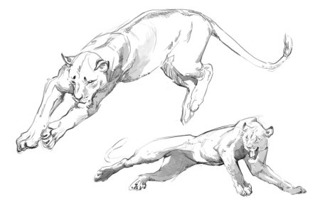 Пантера референс