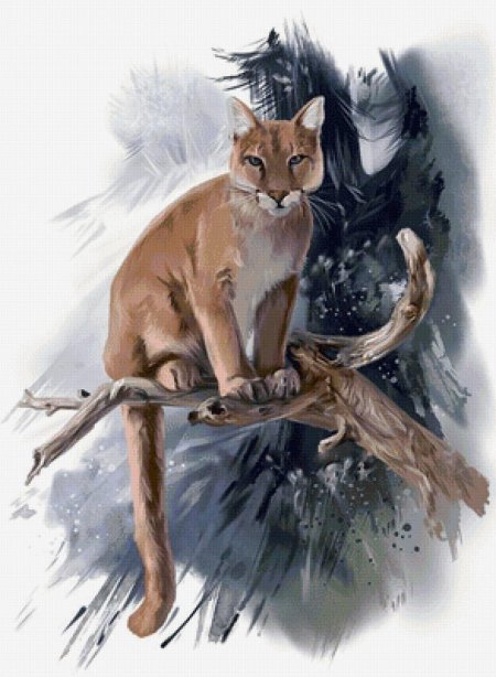 Арты с пумой