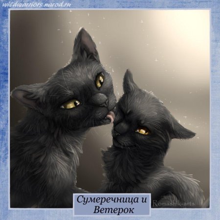 Коты Воители Грач и Сумеречница