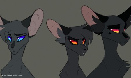 Коты Воители Грач и Сумеречница