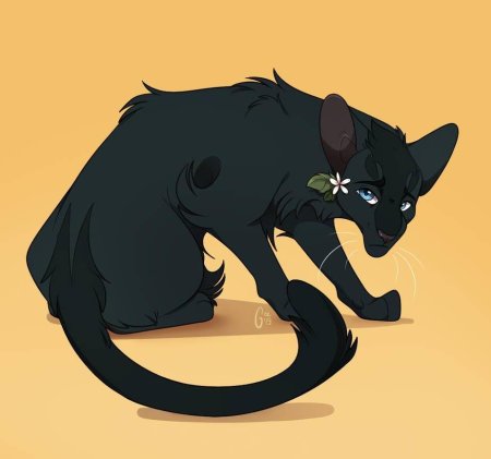 Грачик коты Воители