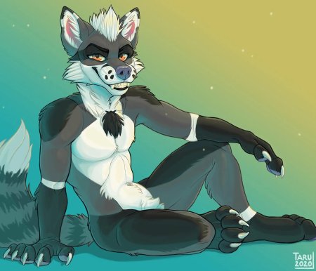 Фурри Райден