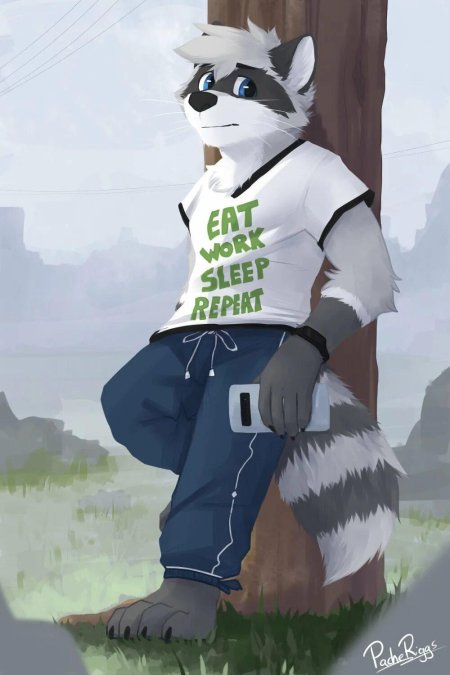 Raccoon Pache Riggs
