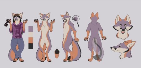 Антро лиса референс