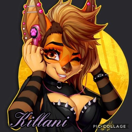 Фурри Полло Чан