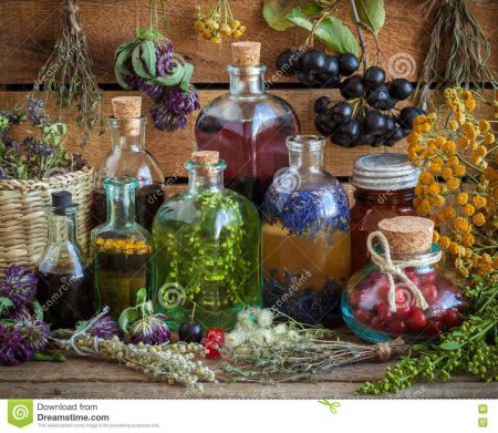 Травы для зелий