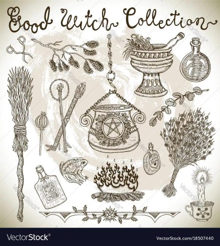 Растения для зелий