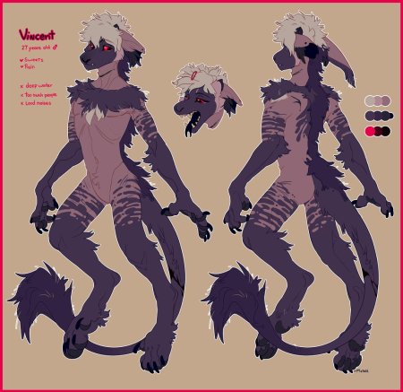 Антро кот референс