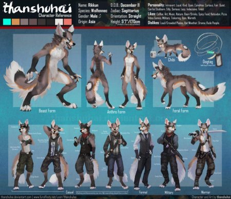 Фурри референс