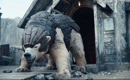 Йорек Бирнисон темные начала