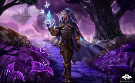 Высшие эльфы варкрафт