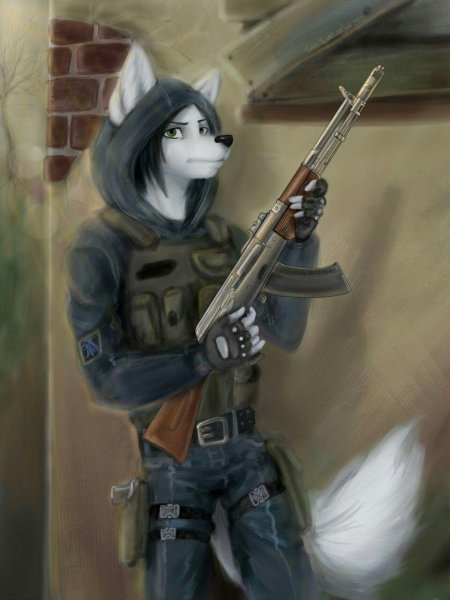 Фурри сталкер монолит