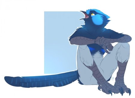 Фурри птицы