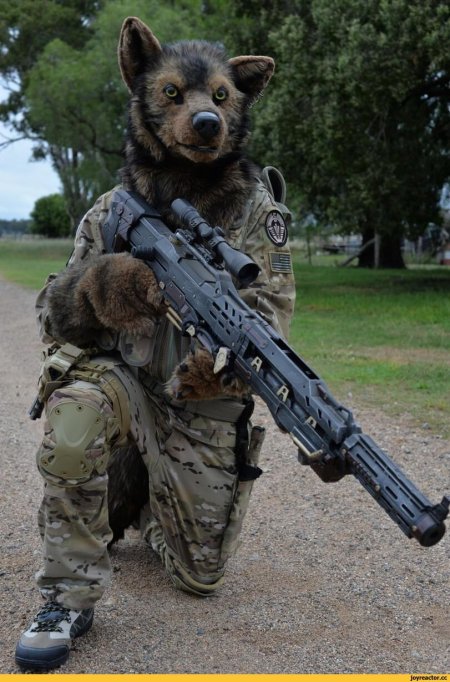 Фурсьют милитари