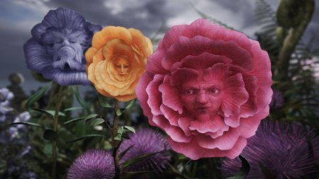 Алиса в стране чудес цветы