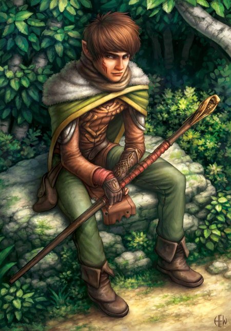 Полуэльф ДНД