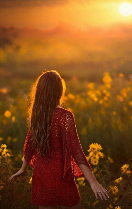 Sunrise xantesha обложка