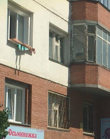 Загорает в окне