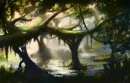 Заросший пруд дремучего леса