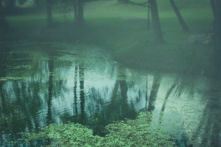 Болотная Топь Эстетика
