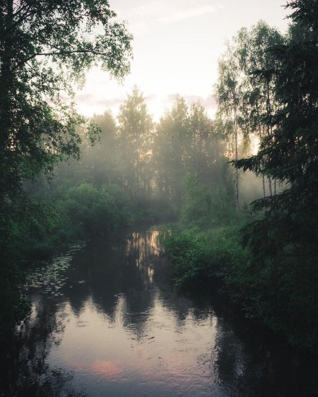 Болотная Топь Эстетика