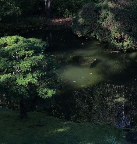 Болотная Топь Эстетика