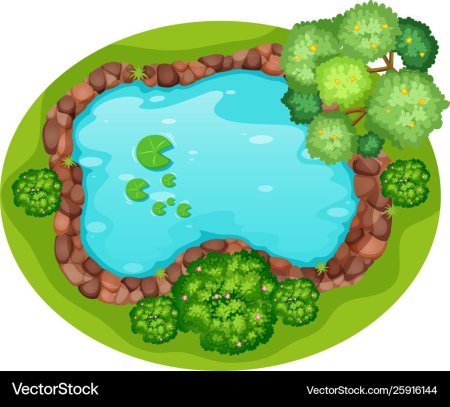 Прудик вид сверху