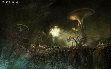 Грибной грот