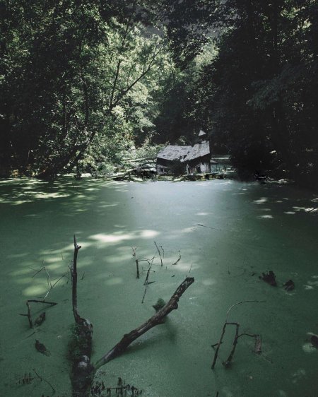 Болотная Топь Эстетика