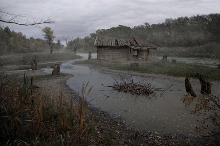 Деревня топи