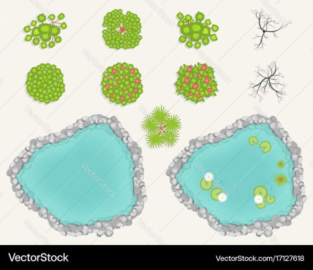 Озеро вид сверху вектор