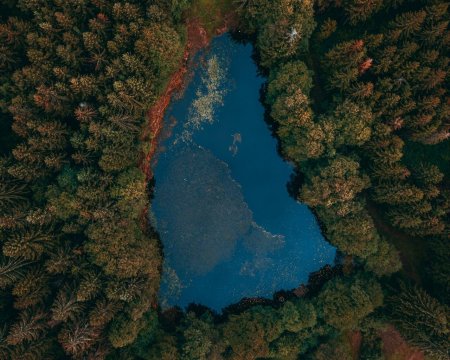 Озеро вид сверху