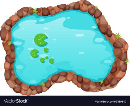 Прудик вид сверху