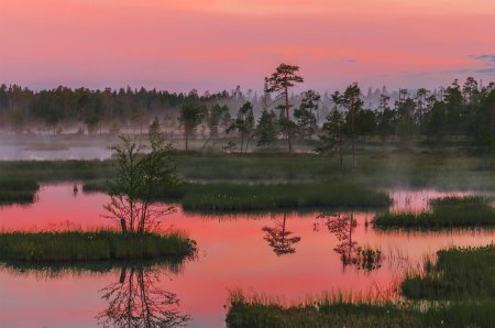 Болото Важинское Карелия