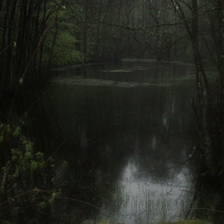 Болотная Топь Эстетика