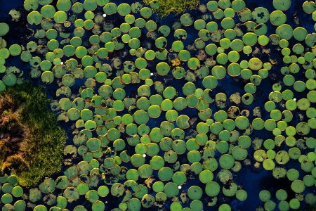 Ян Артюс-Бертран мир с высоты