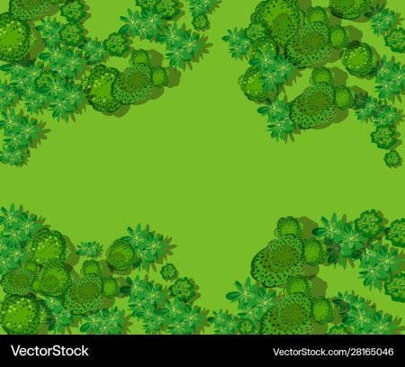 Лес вид сверху вектор