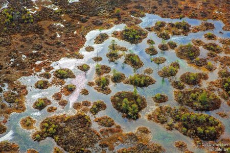 Болота вид сверху