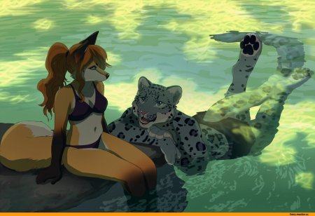 Лис и гепард фурри