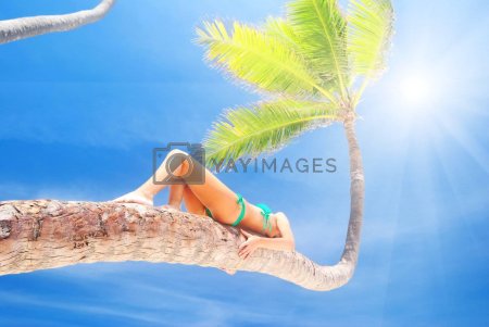 Девушка лежит на Пальме