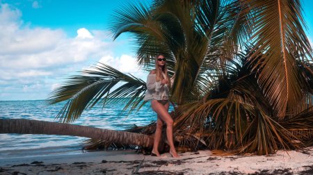 Море пальмы